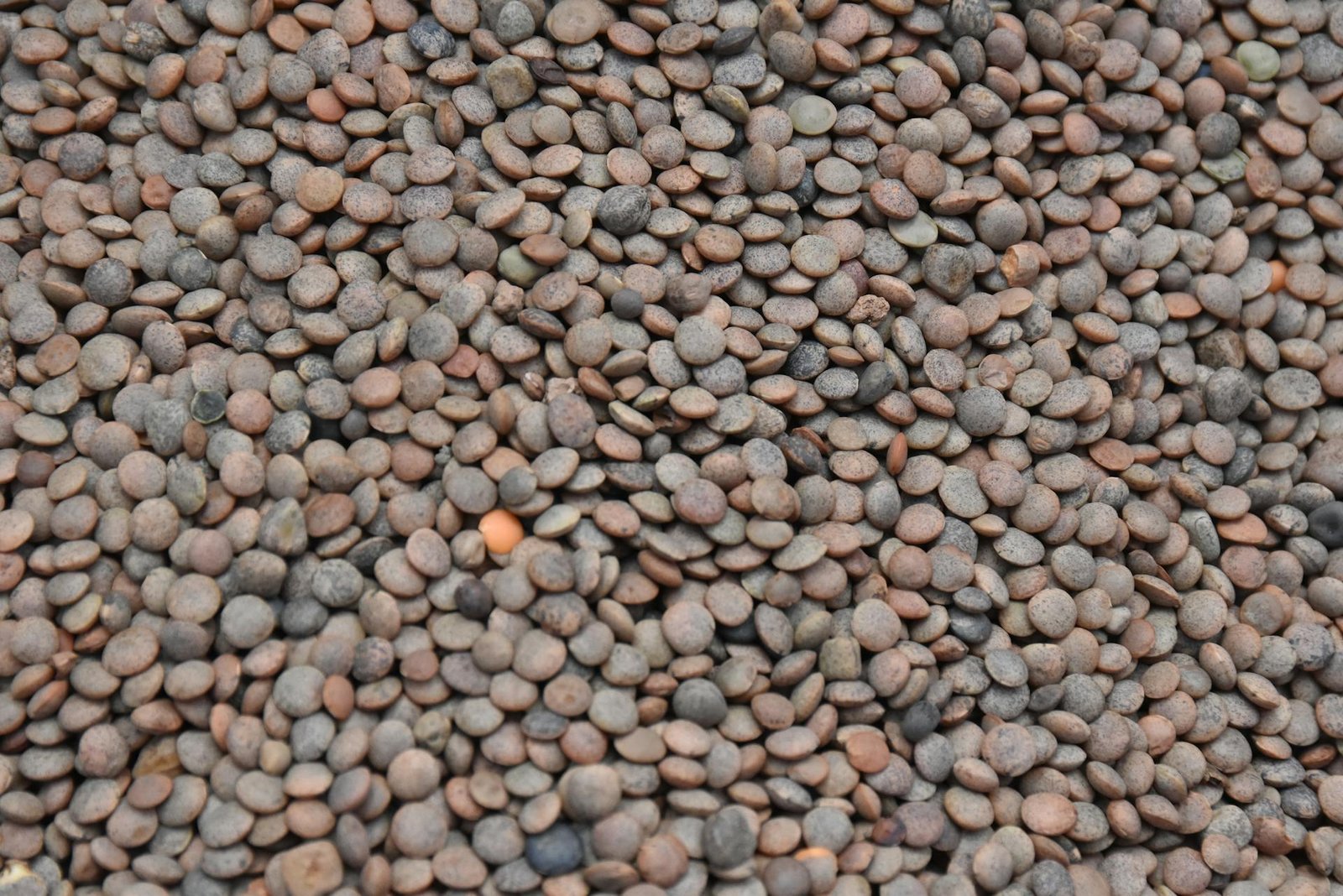 Pulses3