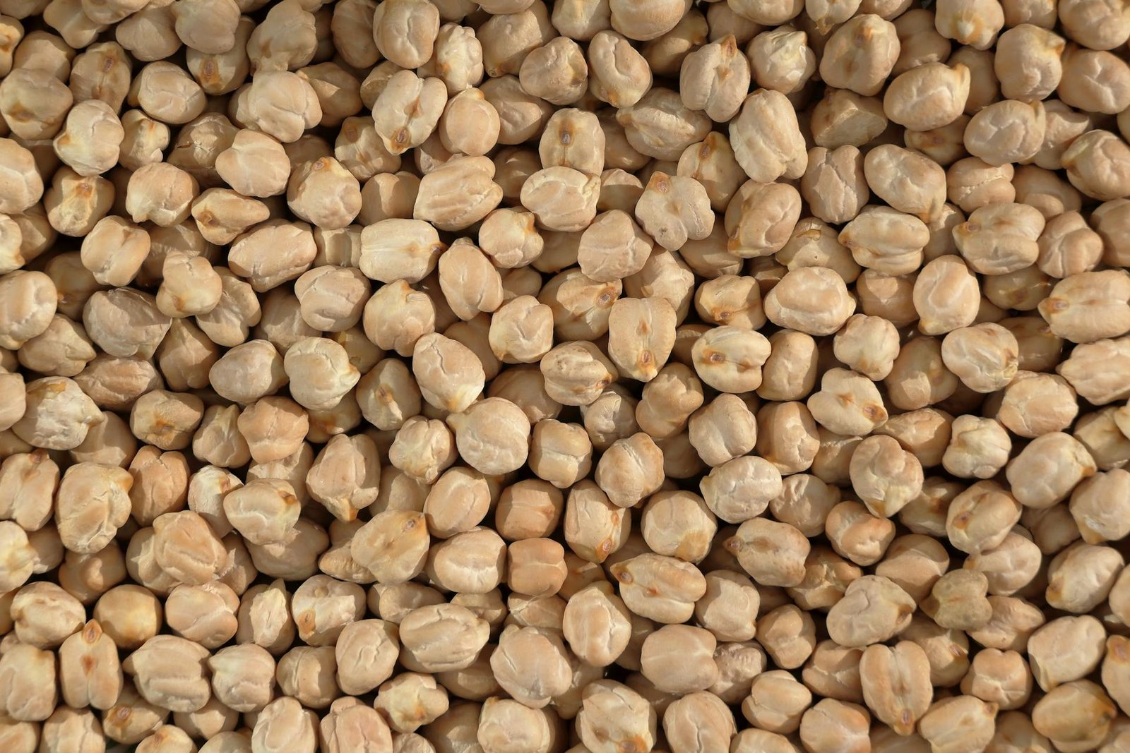 Pulses6