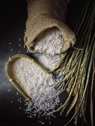 Rice