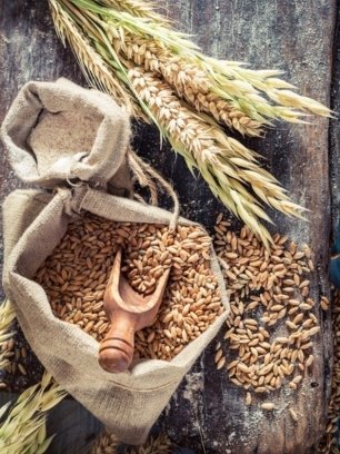 _Wheat
