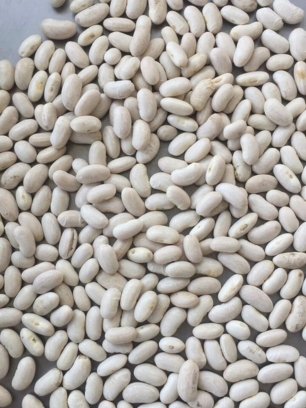 White Kidney Beans