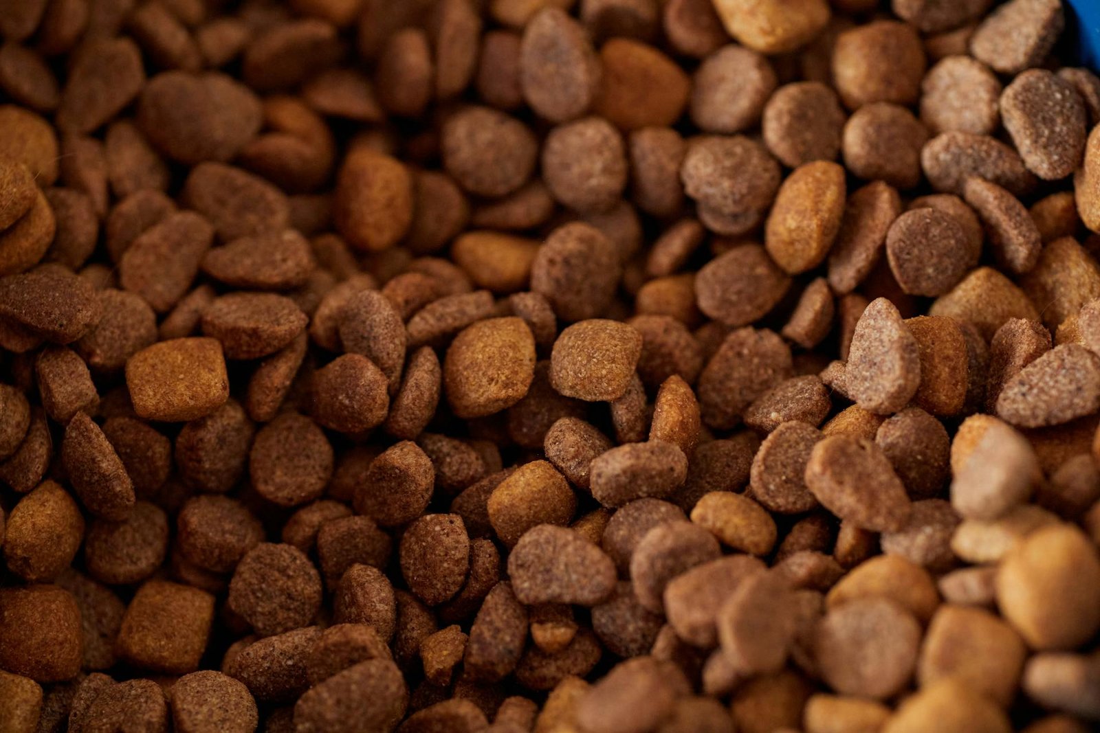 animal-food
